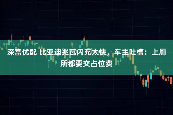 深富优配 比亚迪兆瓦闪充太快，车主吐槽：上厕所都要交占位费