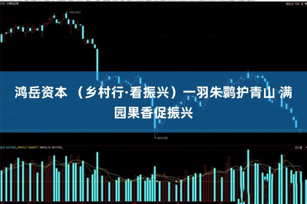 鸿岳资本 (乡村行·看振兴)一羽朱鹮护青山 满园果香促振兴