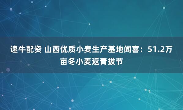 速牛配资 山西优质小麦生产基地闻喜：51.2万亩冬小麦返青拔节