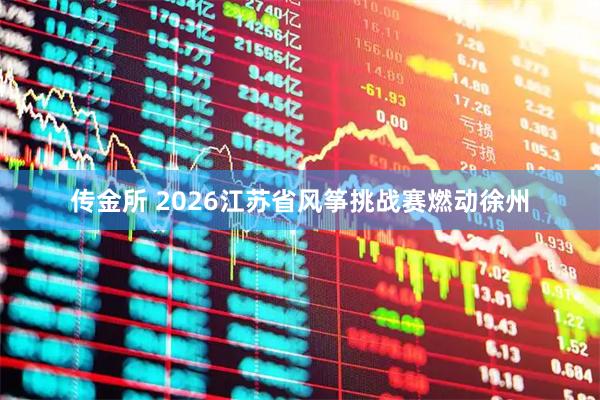 传金所 2026江苏省风筝挑战赛燃动徐州