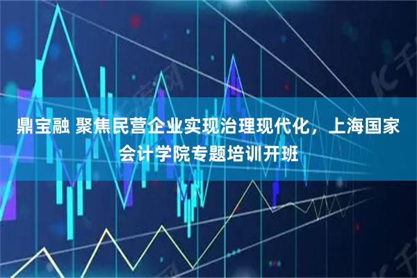 鼎宝融 聚焦民营企业实现治理现代化，上海国家会计学院专题培训开班